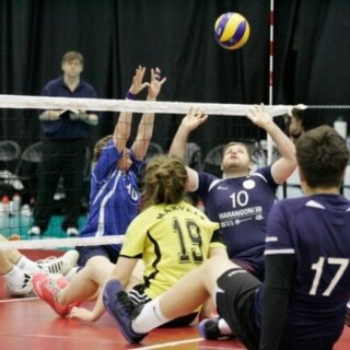Sittin volleyball game in action